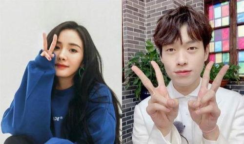 什么是爱情娱乐吃瓜酱,酱香四溢的娱乐圈众生相