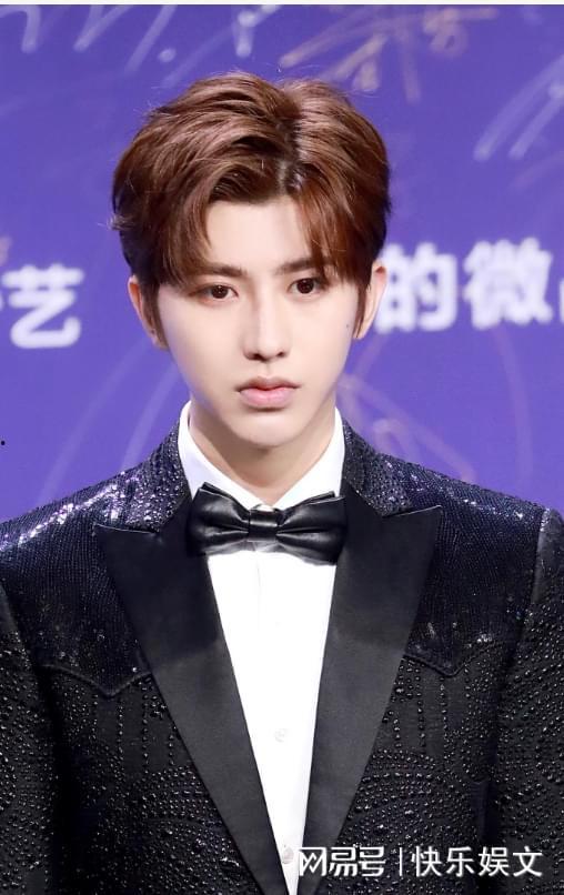 娱乐圈吃瓜全集pdf蔡徐坤,娱乐圈风云人物背后的故事